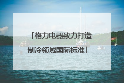 格力电器致力打造制冷领域国际标准